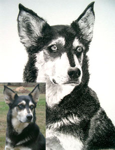 Sample portrait creation