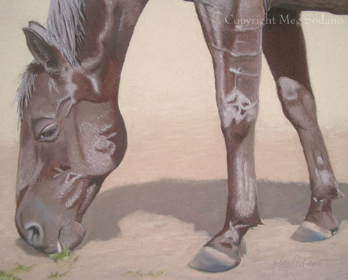 Brown Horse