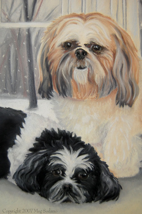 cuddlesandsimondetail